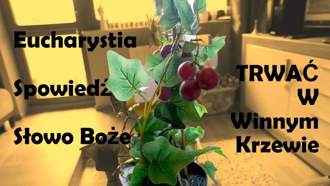 Duchowe przesłanie przypowieści o krzewie winnym w życiu chrześcijan