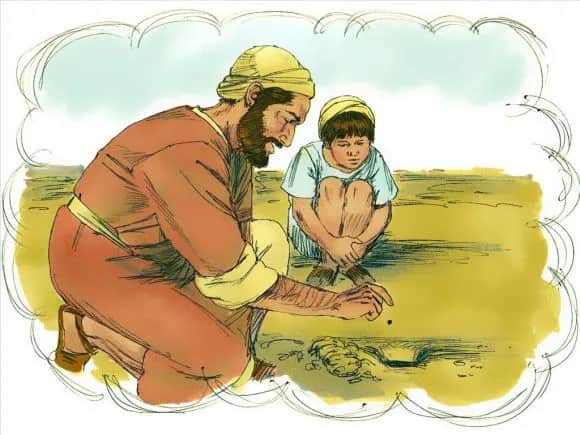 Najkrótsza przypowieść biblijna o ziarnku gorczycy i jej głębokie znaczenie