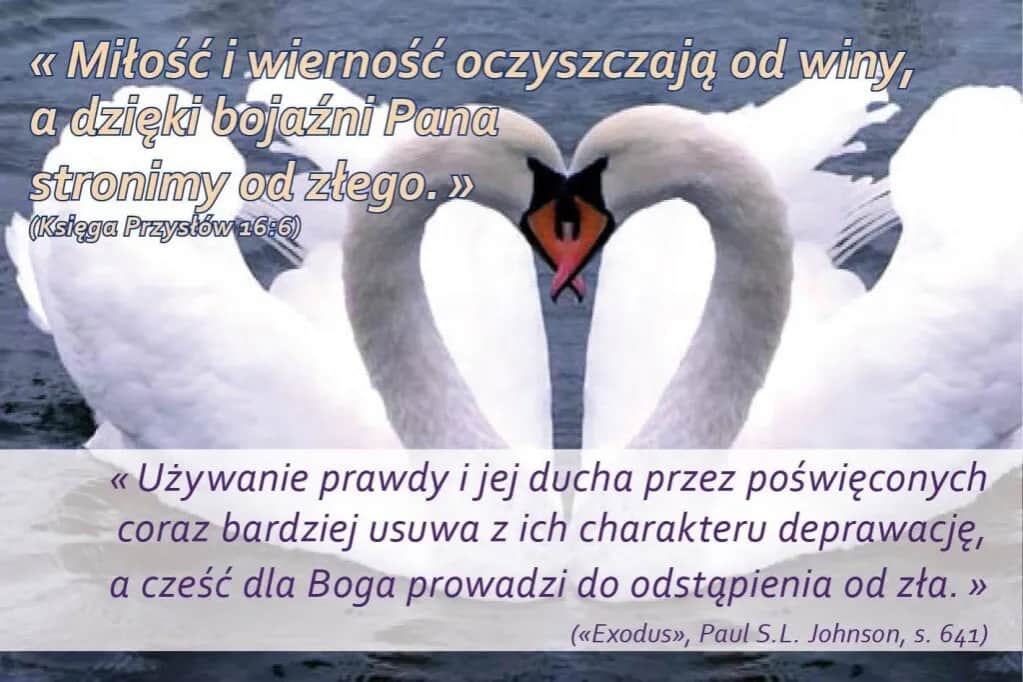 Mądrość przypowieści Salomona: jak zastosować ich nauki w codziennym życiu